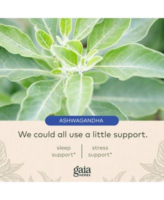 SleepThru - Natural Sleep Support Supplement with Organic Ashwagandha Root, Organic Magnolia Bark, Passionflower, and Jujube Date - 120 Liquid Phyto-Capsules (60-Day Supply)