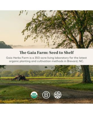 Kava Root - Helps Sustain a Sense of Natural Calm and Relaxation During Times of Stress - Made With Noble Kava Cultivars - 60 Liquid Phyto-Capsules (20-Day Supply)