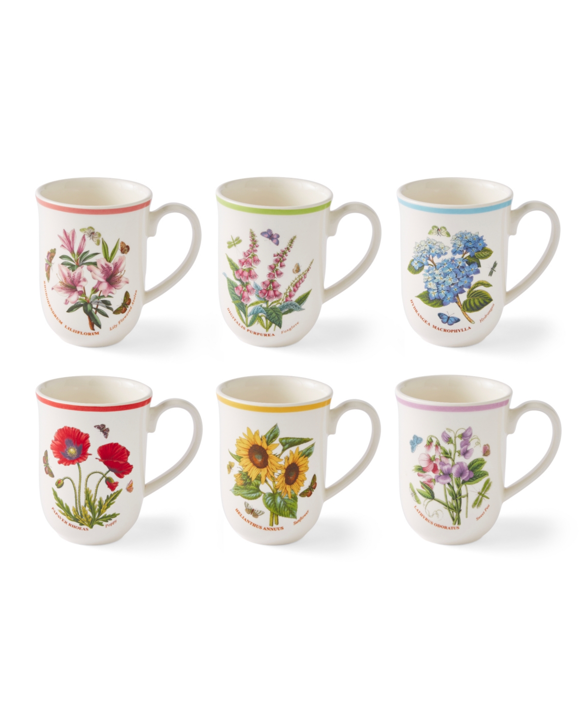 Botanic Garden Meadow Assorted Tulip Mugs, Set of 6 - White