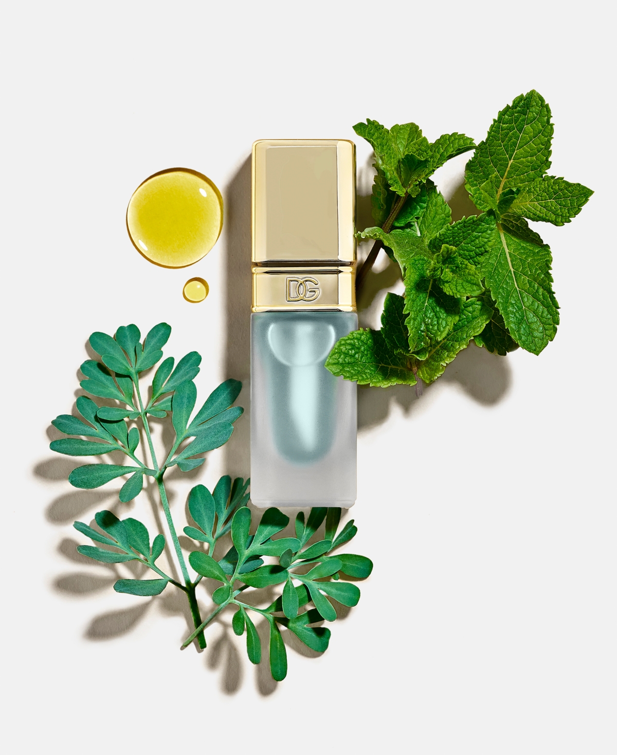 Dolce & Gabbana Mint Oil Lip Plumper In No Color