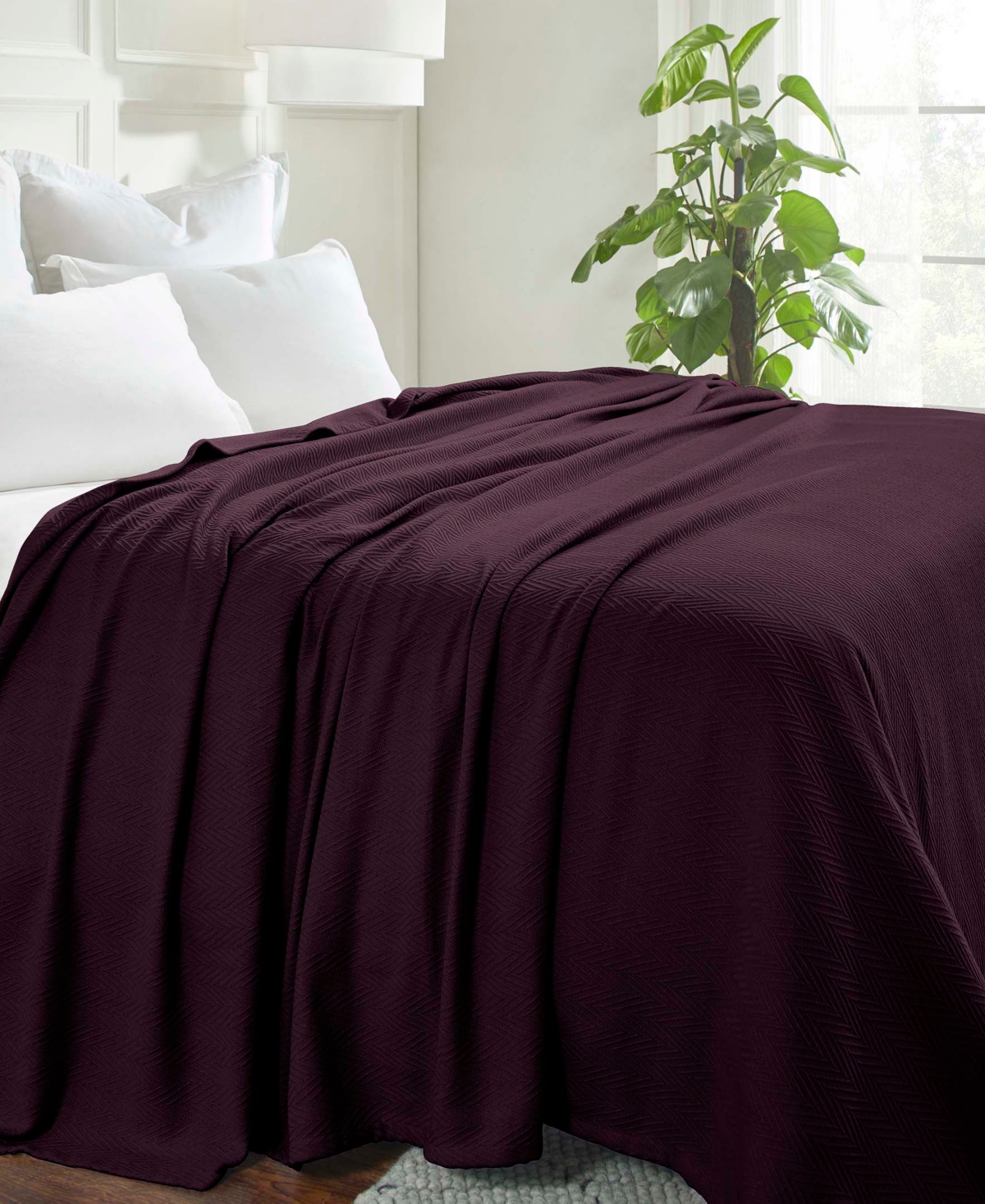 Superior Chevron All-season Cotton Blanket, King In Plum