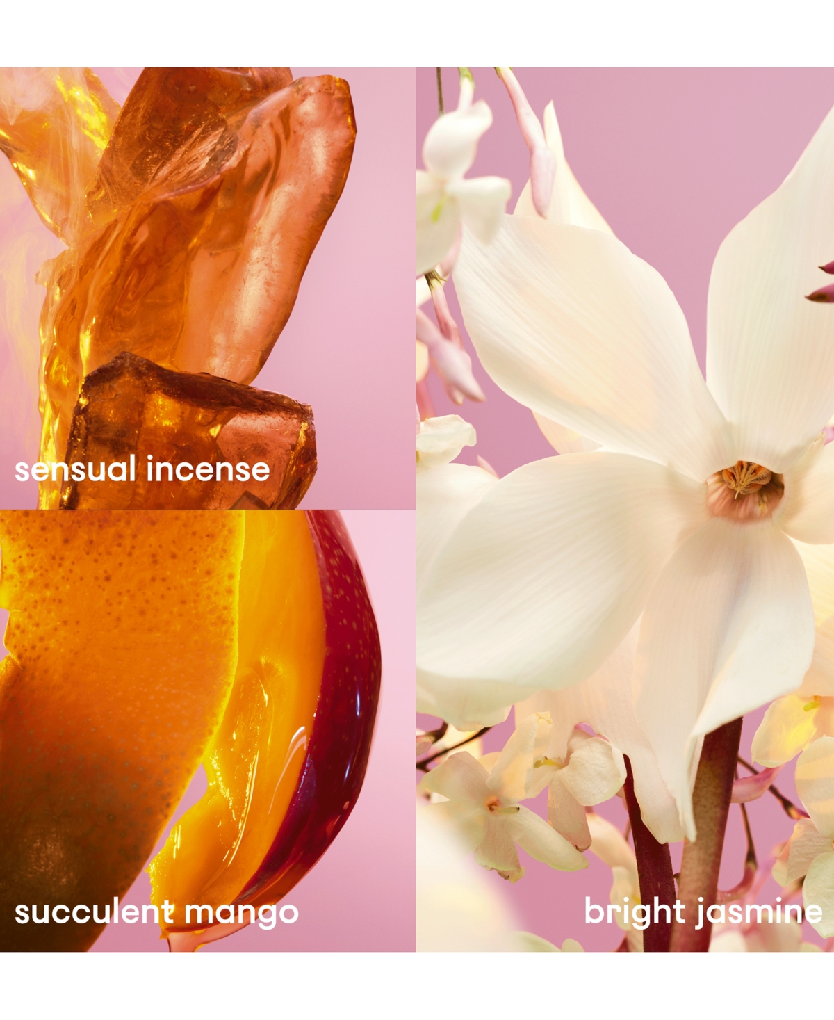 Rabanne 3-Pc. Fame Eau de Parfum Gift Set