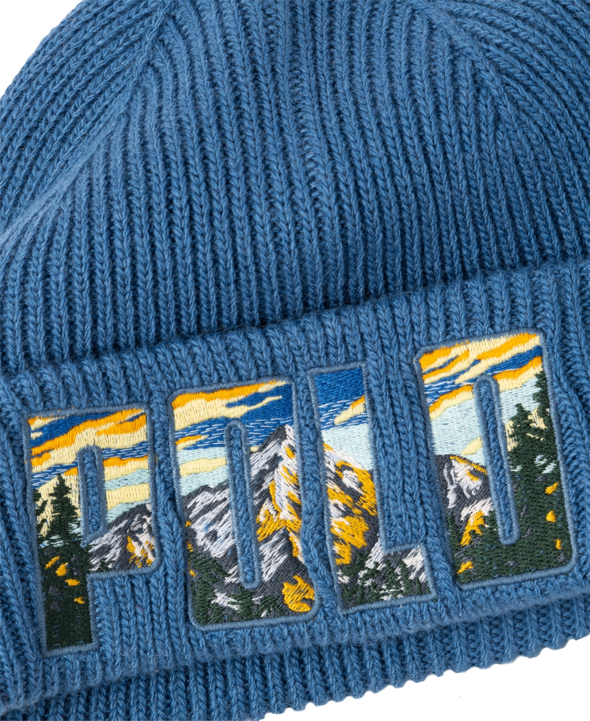 Polo Ralph Lauren Men's Scenic Polo Embroidered Beanie