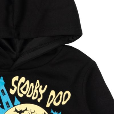 Boys Warner Bros. Fleece Pullover Hoodie