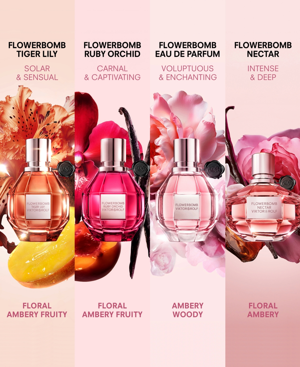Viktor & Rolf 2-pc. Flowerbomb Eau De Parfum Gift Set In No Color