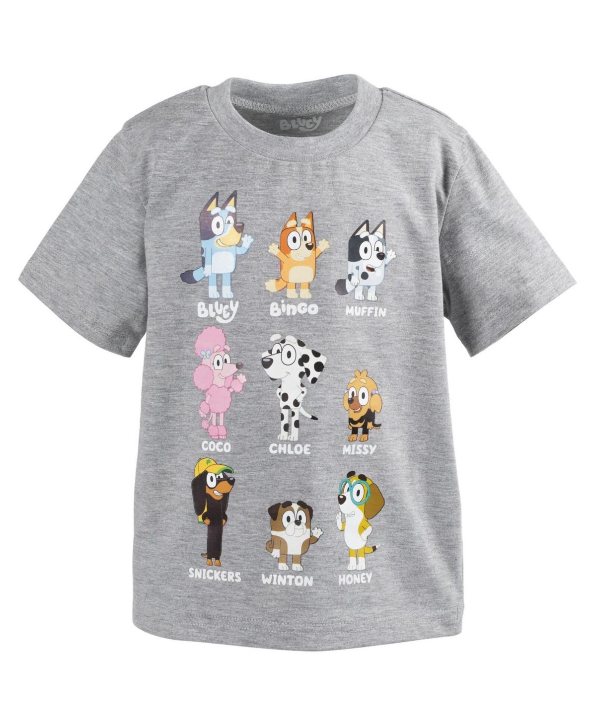 Bluey Toddler Boys Bingo T-Shirt and Mesh Shorts Outfit Set to -/ grey
