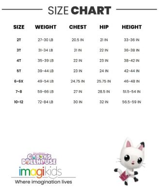 Toddler Girls Dreamworks Tank Top and Dolphin Shorts Outfit Set