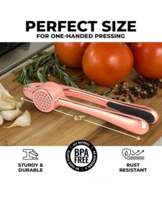 Stainless Steel Garlic Press – Durable, Easy-Squeeze Handle, Garlic Masher