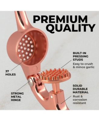 Stainless Steel Garlic Press – Durable, Easy-Squeeze Handle, Garlic Masher