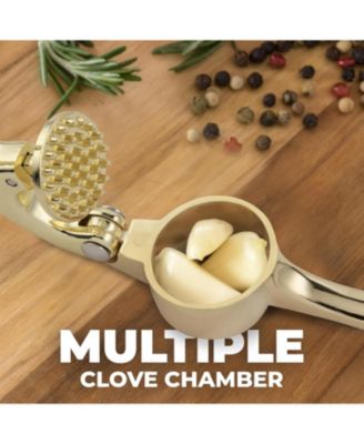 Premium Garlic Press Durable Easy Squeeze Garlic Mincer Tool