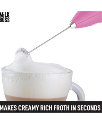 Stainless Steel Milk Frother