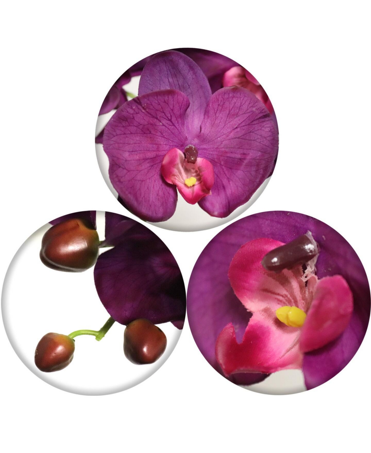 Floral Home Burgundy Phalaenopsis Orchid Stems - 33.5-Inch