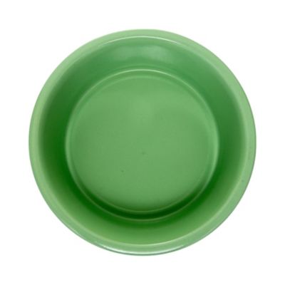 Set of 2 Coated Stainless Steel Heavy Dog Bowls - Ideal for Medium to Large Breeds – 32oz