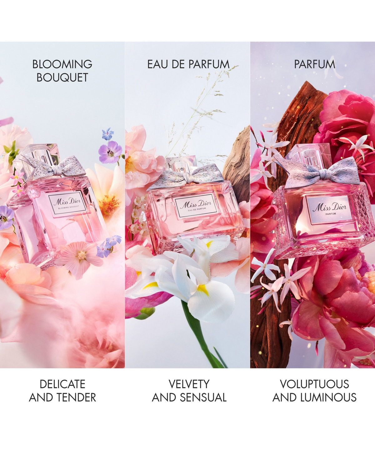 Dior 2-pc. Miss  Blooming Bouquet Eau De Toilette Limited-edition Gift Set In No Color