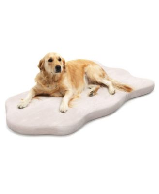 Dog Bed with Memory Foam for Small to Medium Dogs