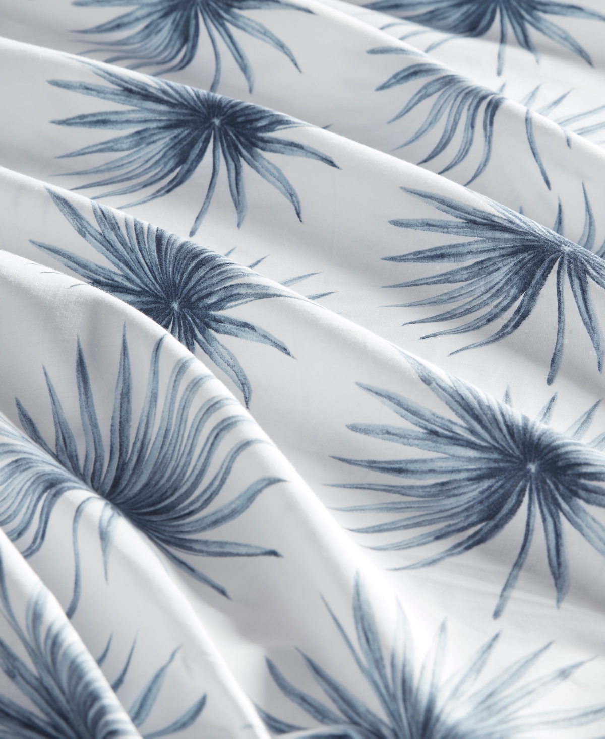 Madison Park Essentials Printed Cotton Percale 4-pc. Sheet Set, Queen In Blue Palmetto