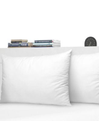 Soft and Plush Bed Pillow Insert, 2-Pack, Standard