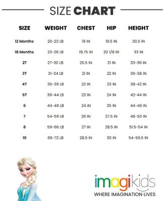 Toddler Girls Disney Princess Anna Fur Dress