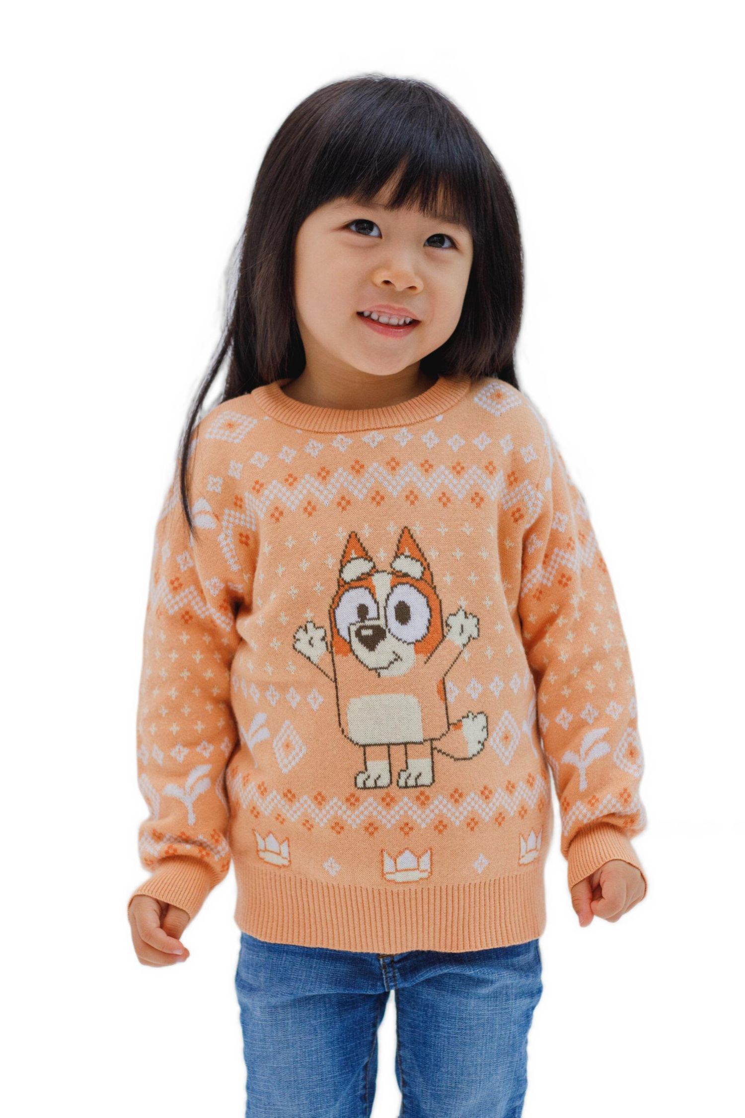 Toddler Girls Holiday Sweater
