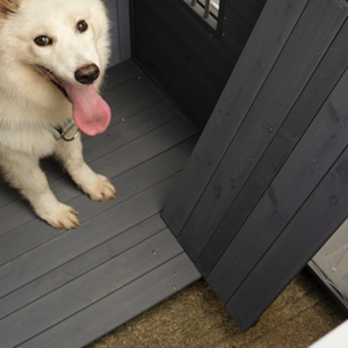 Streamdale Large, Weatherproof Dog House with Balcony