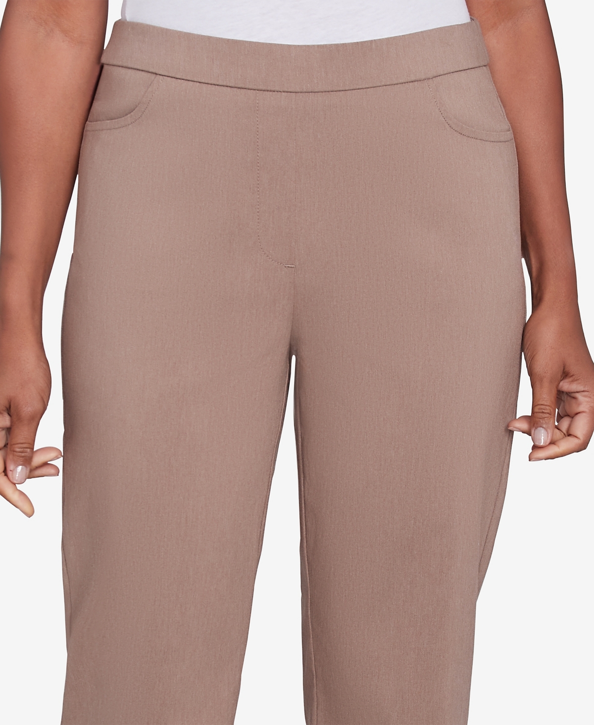 Alfred Dunner Petite Telluride Millennium Faux Fly Front Short Length Pants In Fwnhthr
