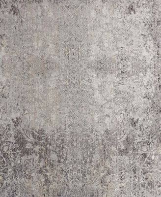 Sarrant 3964F 2'8"x8' Runner Area Rug