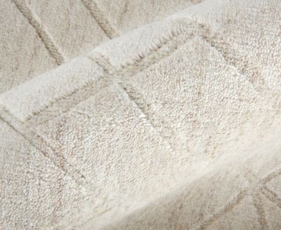 Feizy Redford 8846f Rug Collection In Ivory,gray
