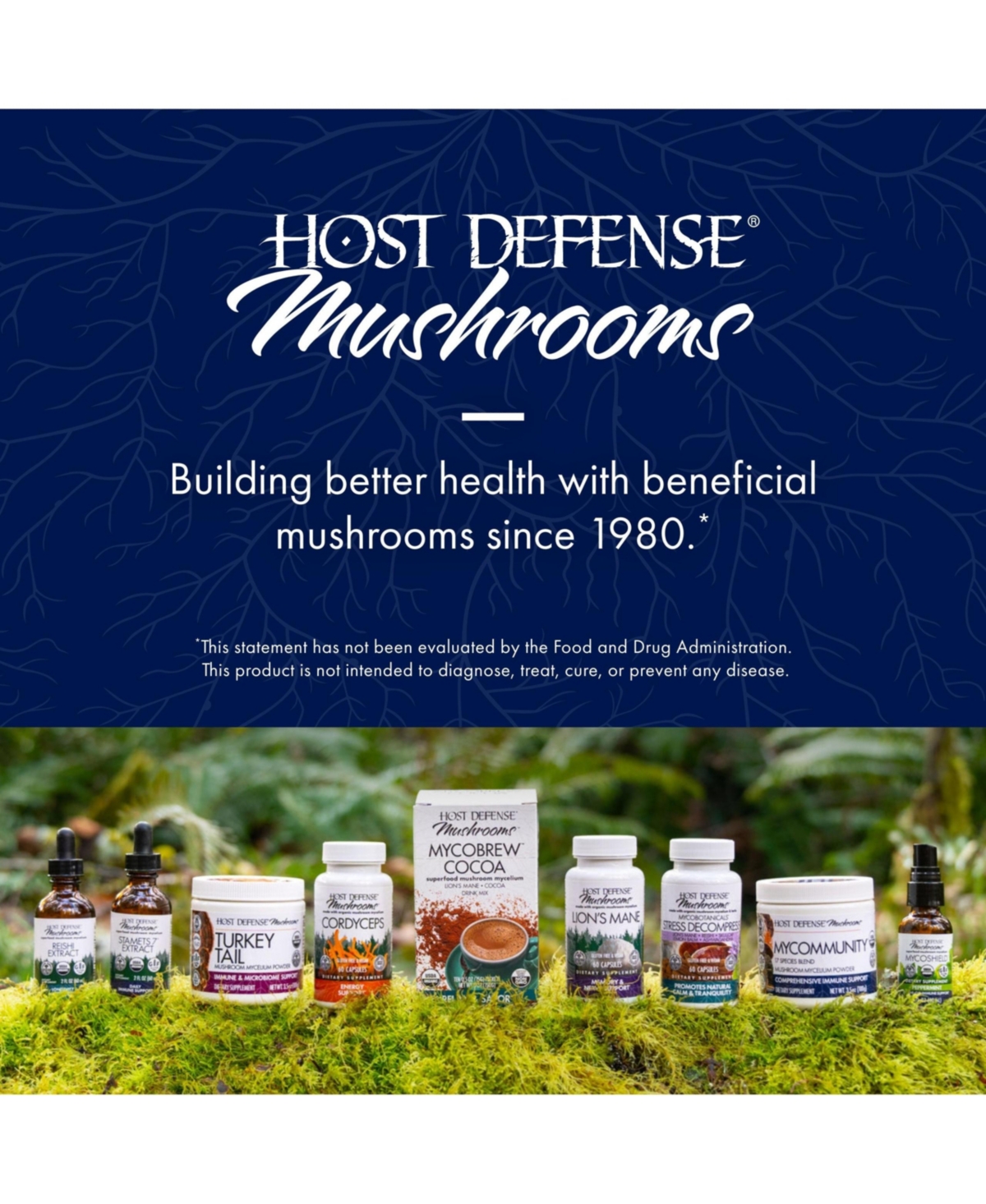 Host Defense MyCommunity Extract - 17 Species Blend Mushroom Supplement for Immune Support - Extract with Lion's Mane, Reishi. Chaga, Cordyceps, Turke