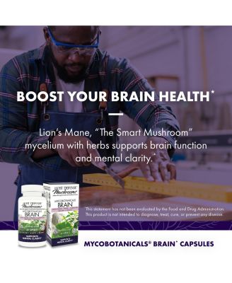 MycoBotanicals Brain Capsules - Brain Support Supplement with Lion's Mane, Reishi & Cordyceps Mushroom - Herbal Supplement for Memory & Focus Support - 60 Capsules (30 Servings)