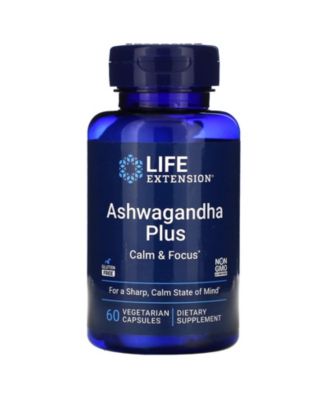 Life Extension