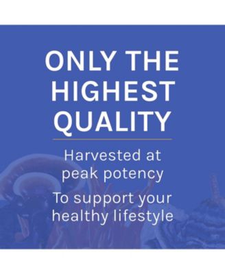 Stamets 7 Mushroom Powder - 7 Species Blend - Mushroom Supplement for Immune Support with Royal Sun Blazei, Cordyceps, Reishi, Maitake, Lion's Mane, Chaga & Mesima