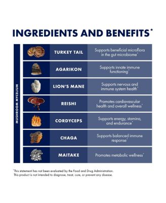 MyCommunity Capsules - 17 Species Blend Mushroom Supplement for Immune Support - Herbal Aid with Lion's Mane, Reishi. Chaga, Cordyceps, Turkey Tail & More