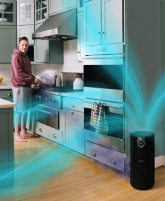 Air Purifier MAX with True HEPA