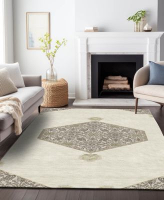 Chantille Machine Washable ACN1011 9'x12' Area Rug