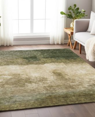 Chantille Machine Washable ACN1070 8'x10' Area Rug