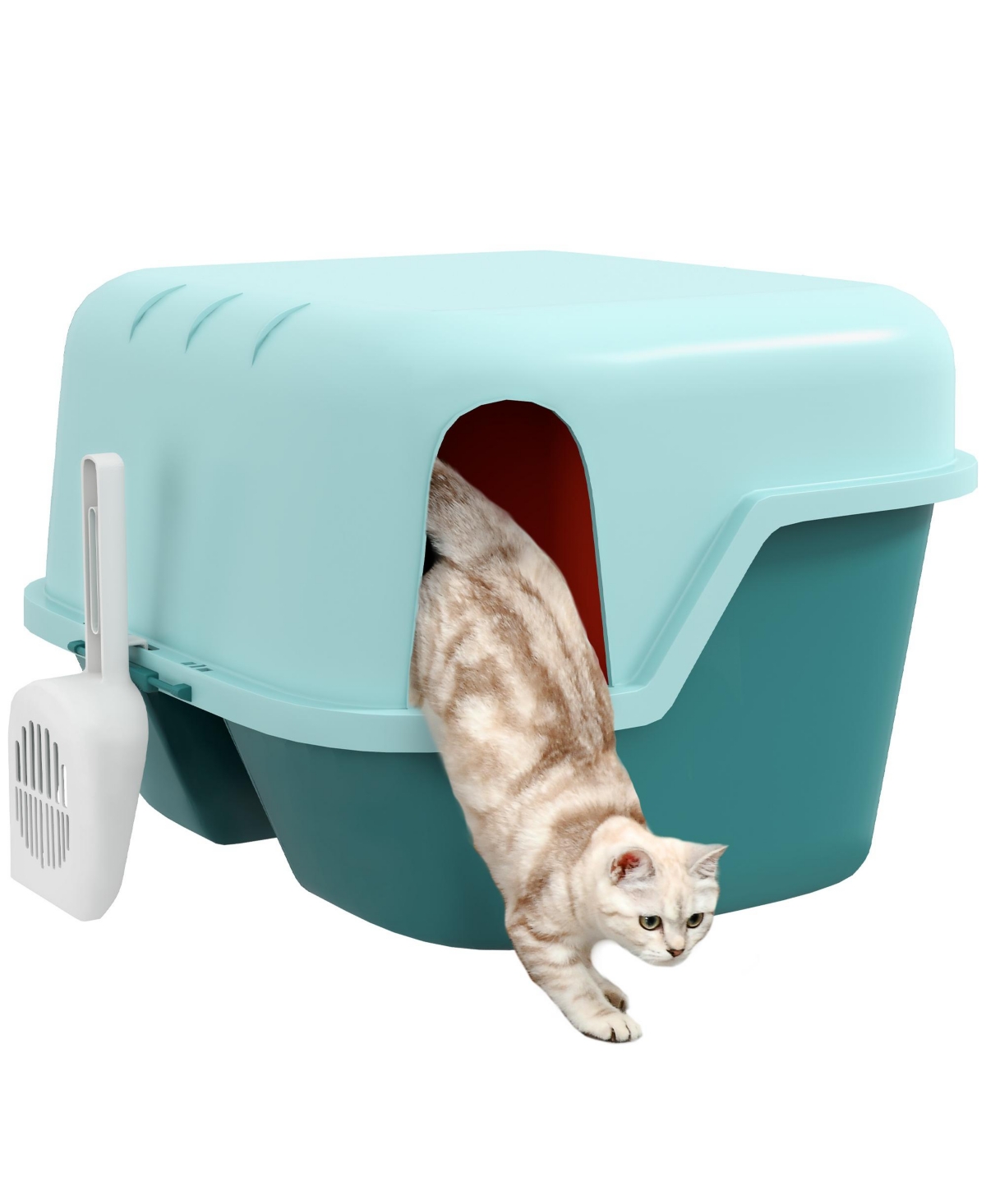 Cat Litter Box with Scoop, Easy to Clean & Openable Cover, - Green