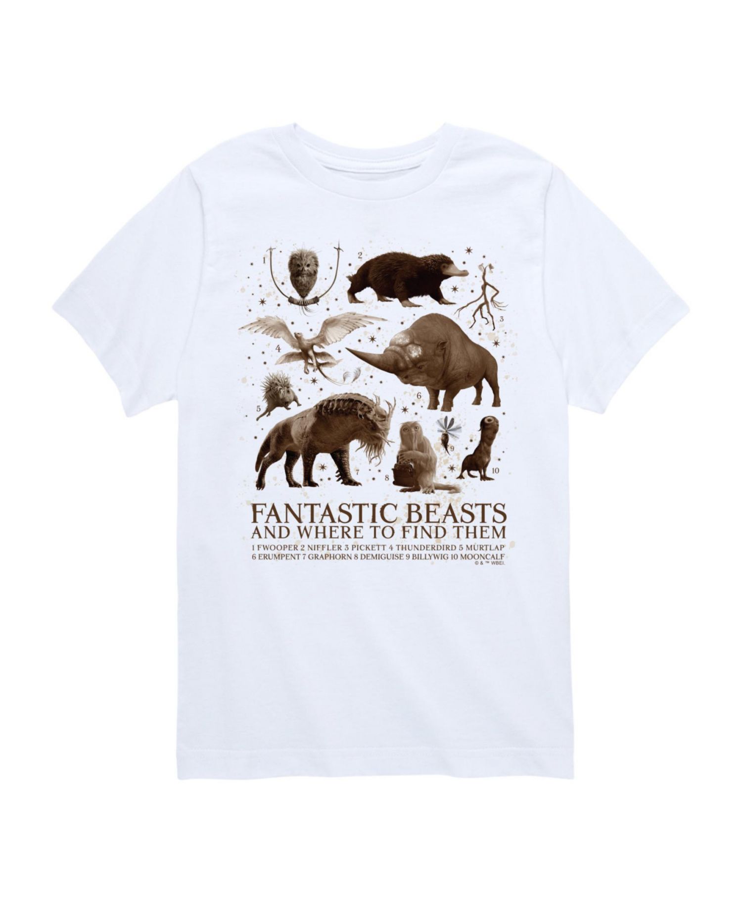 Big Boys Harry Potter Fantastic Beasts Graphic Tee
