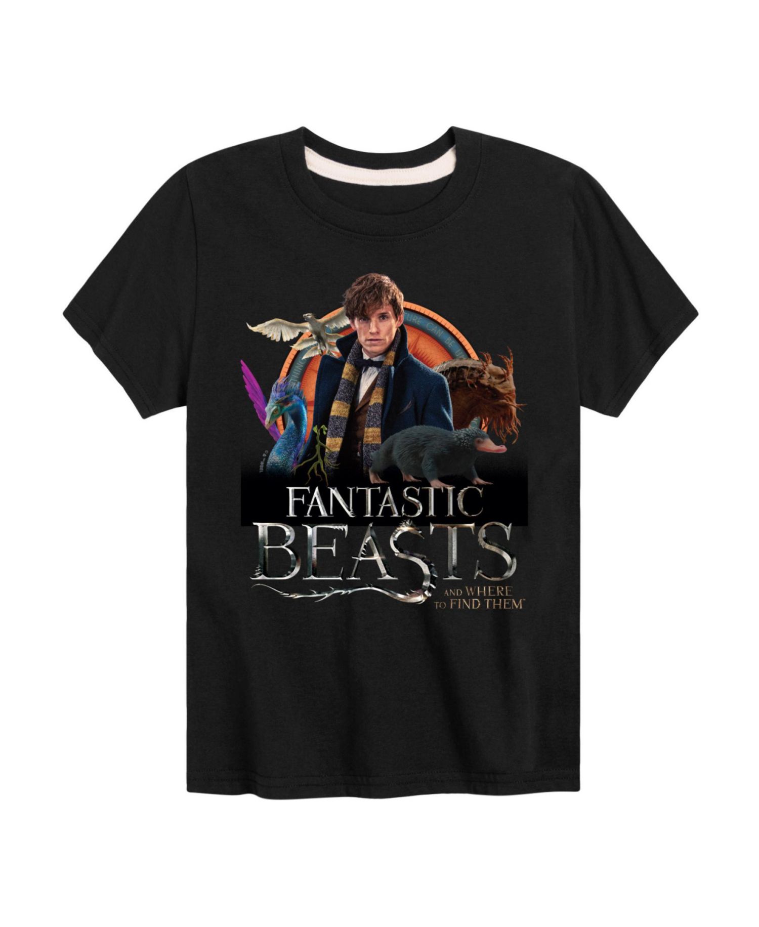 Big Boys Harry Potter Fantastic Beasts Graphic Tee