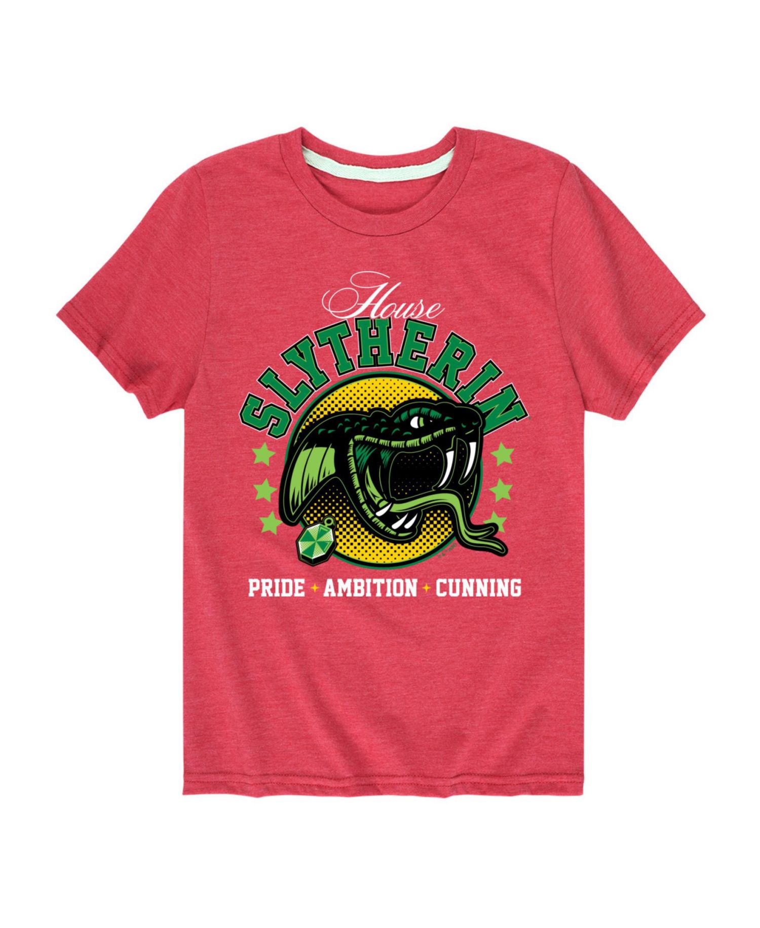 Big Boys Harry Potter Slytherin Graphic Tee