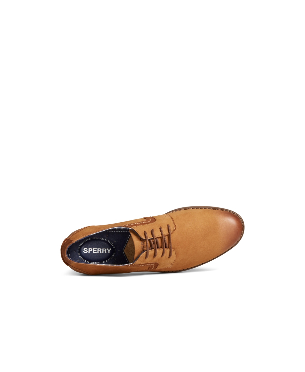 Sperry Men's Newman Dress Oxford Shoe In Nubuck Medium Beige