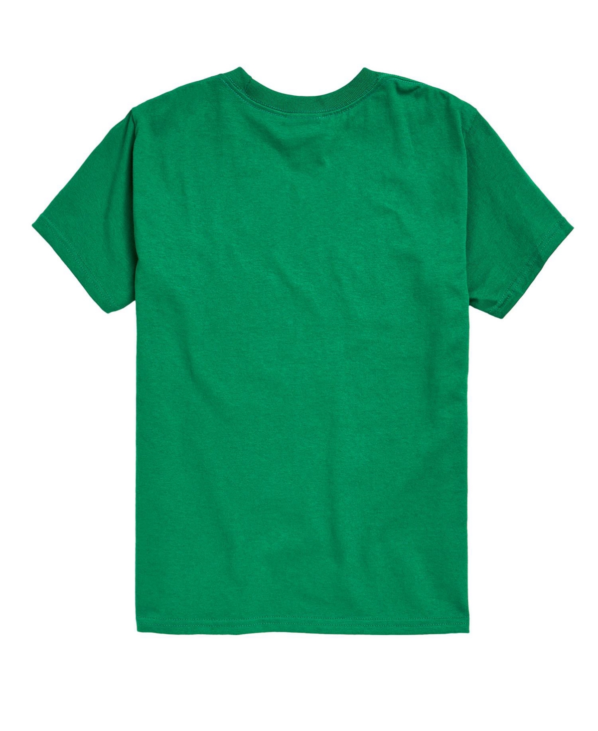 Hybrid Big Boys Moana Maui Graphic Tee In Green