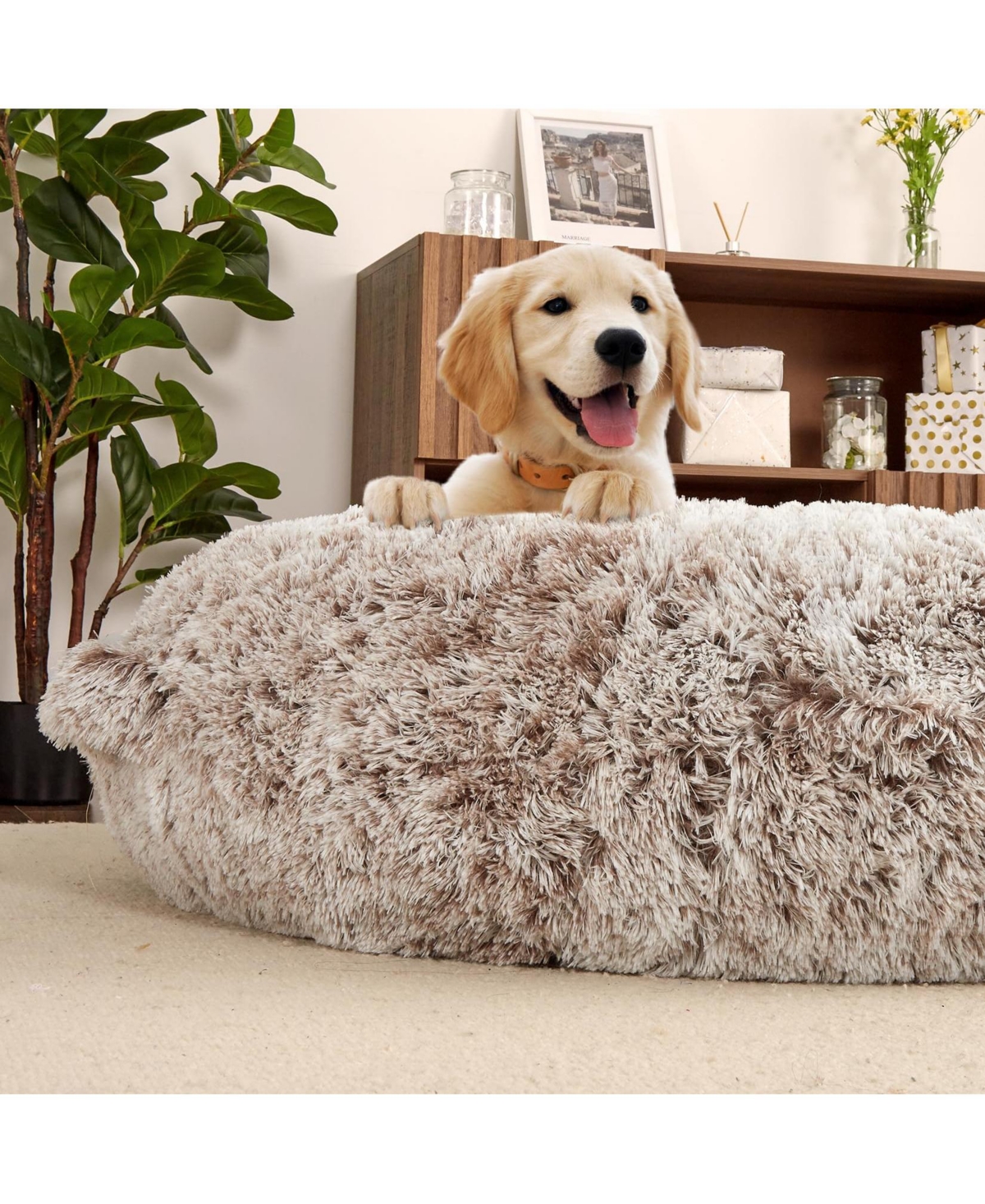 gaomon Human Sized Dog Bed for Adult People,71"x43.3"x10" Large Dog Bed