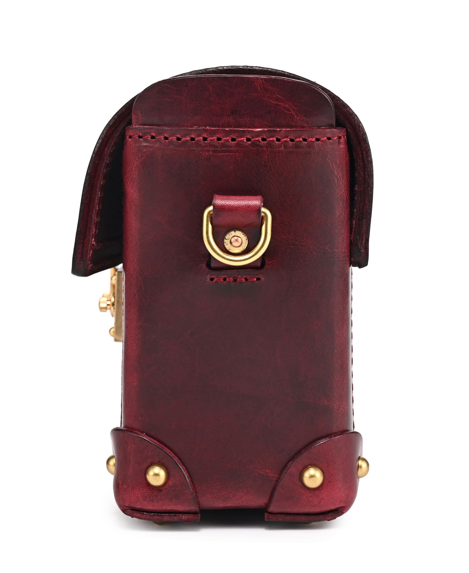 Azalea Vintage Case Crossbody Bag
