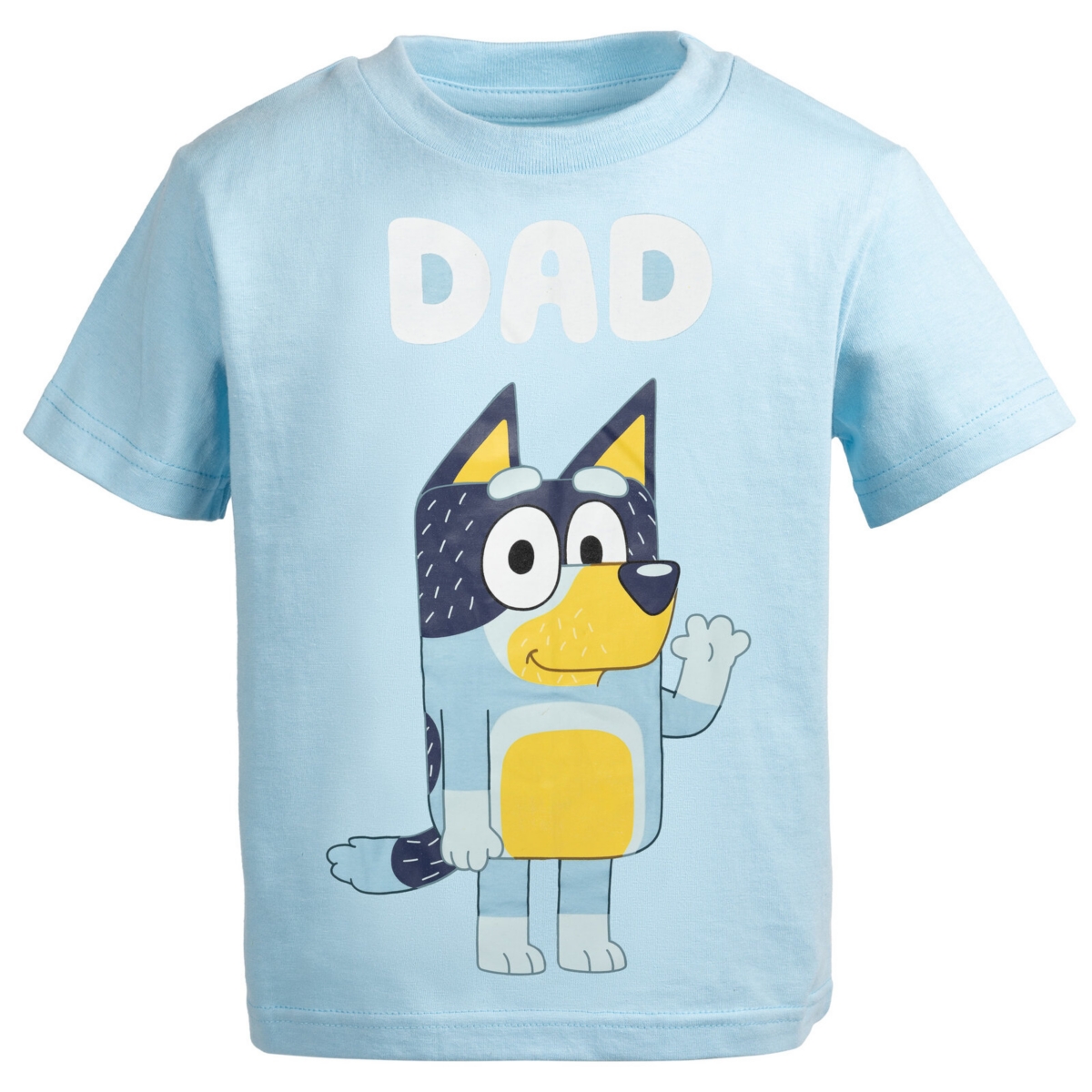 Bluey Boys Adult Matching Family T-Shirt (X-Small - 3XL) - blue