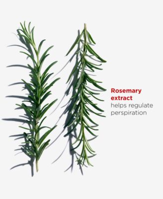 Roll-On Antiperspirant Deodorant