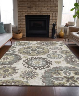 Chantille Machine Washable ACN763 8'x10' Area Rug