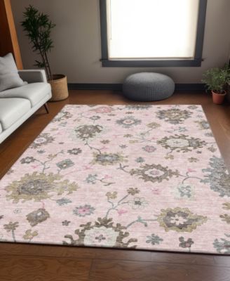 Chantille Machine Washable ACN753 2'6"x3'10" Area Rug