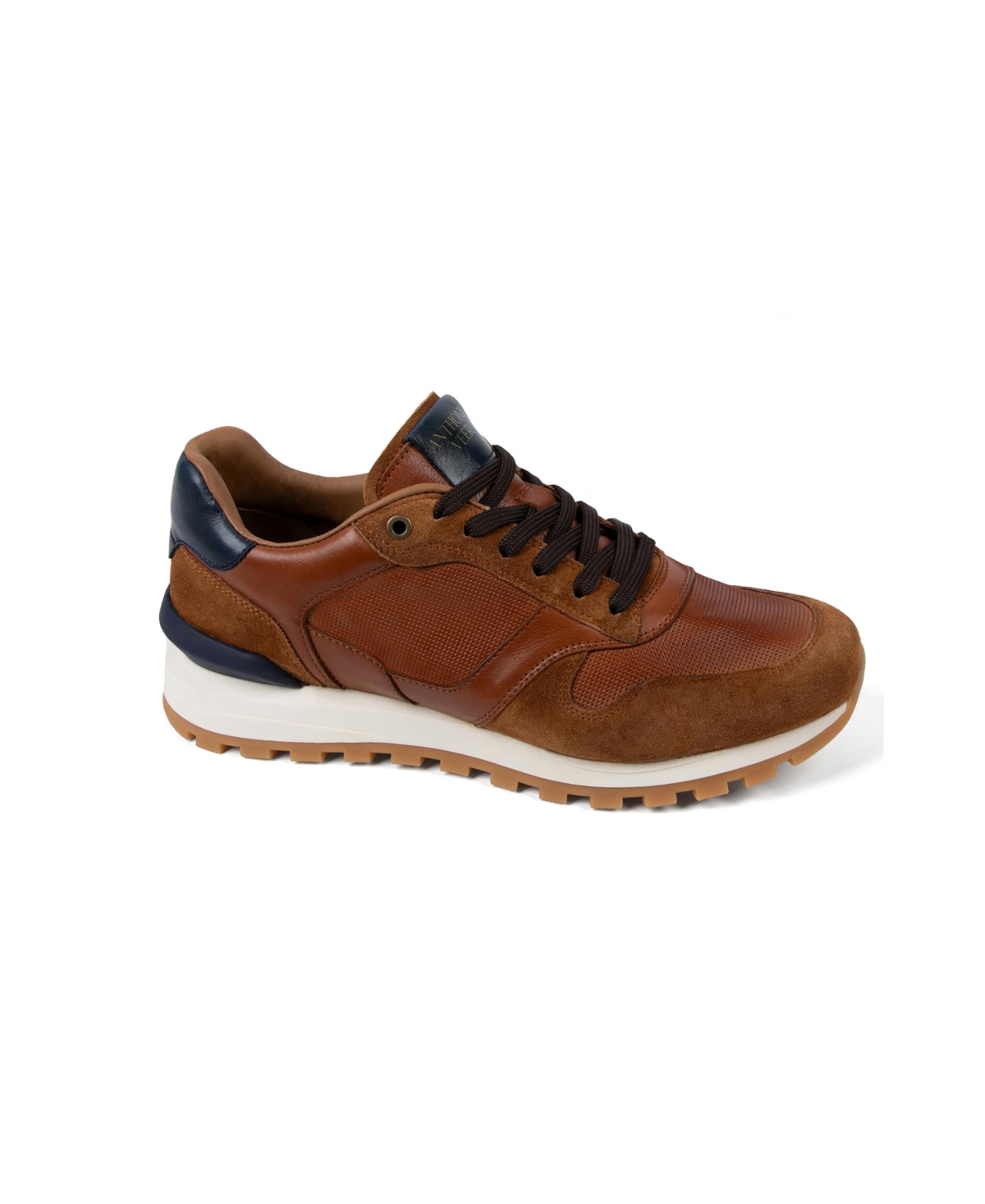 Anthony Veer Edward Runner Sneaker In Multi
