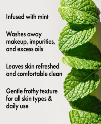 Checks & Balances Frothy Face Wash, 5 oz.