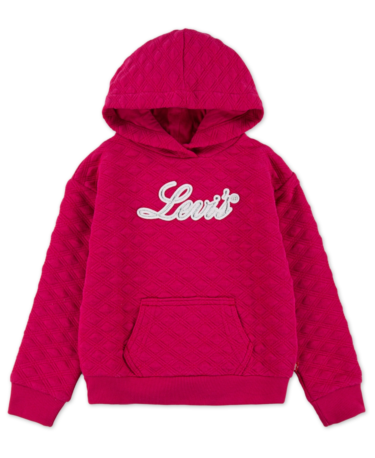 Levi's Little Girls Meet and Greet Hoodie Sweatshirt